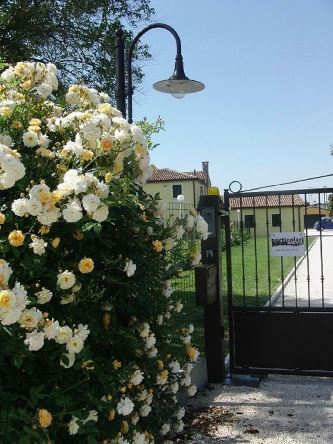 Ferienwohnung Particolari Del Brenta Oriago Di Mira Exterior foto